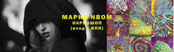 винт Щучье