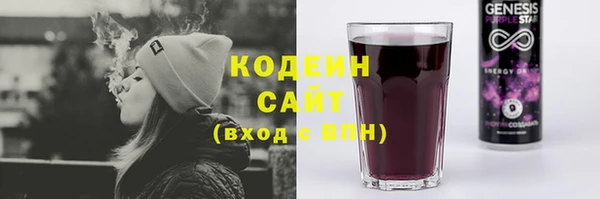 шишки Шадринск