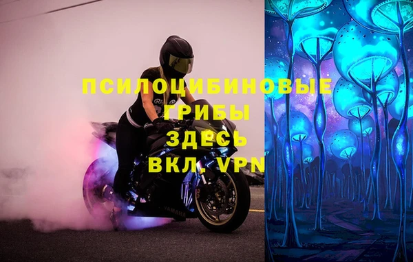 крисы Богородск