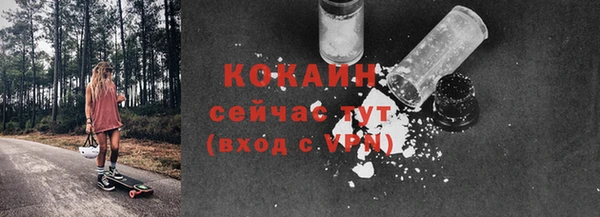 крисы Богородск