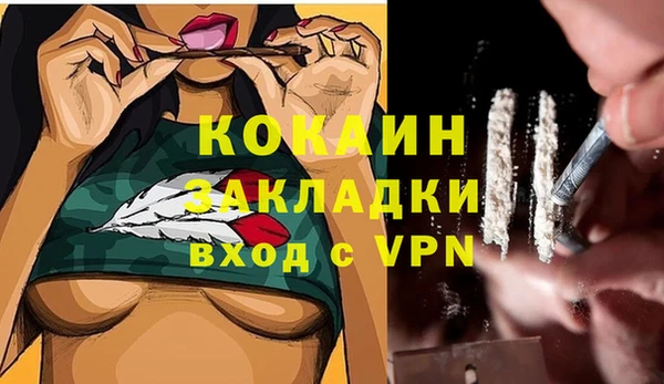 сатива Волоколамск
