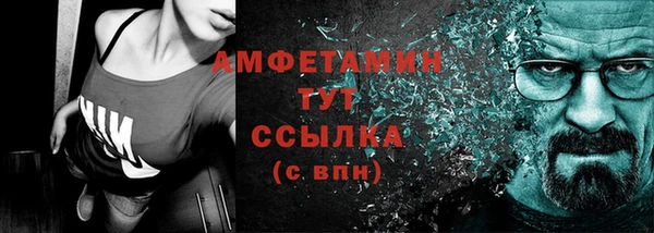 индика Володарск