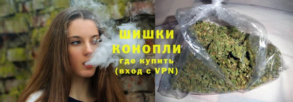 крисы Богородск