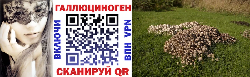 Псилоцибиновые грибы Psilocybe Полесск