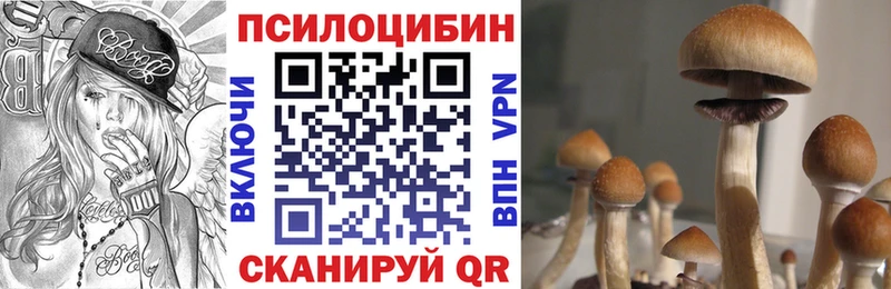 Галлюциногенные грибы Cubensis что такое МЕГА Полесск